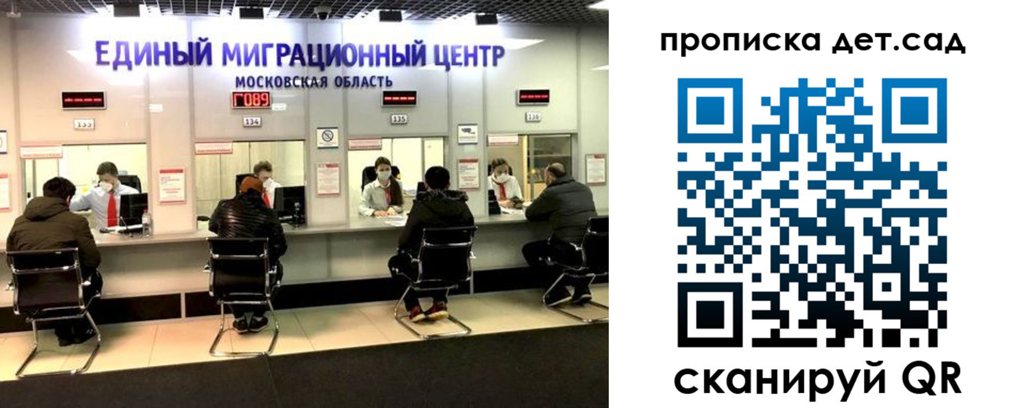 прописка гарантия в Зверево